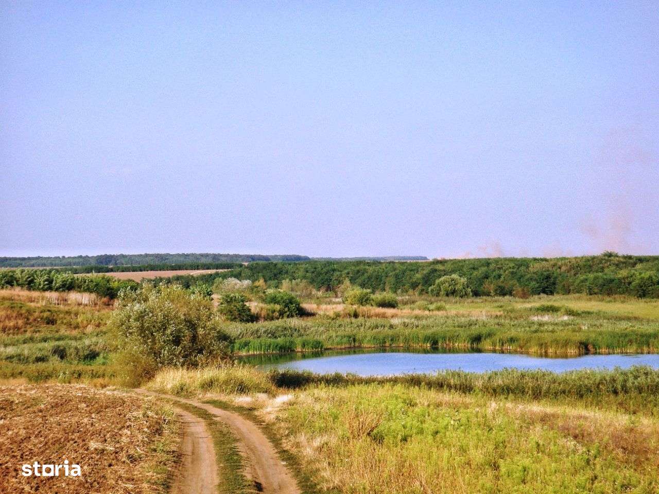 Teren intravilan. Zona Frumusani. POT & CUT foarte mari! Frumos.Natură-3