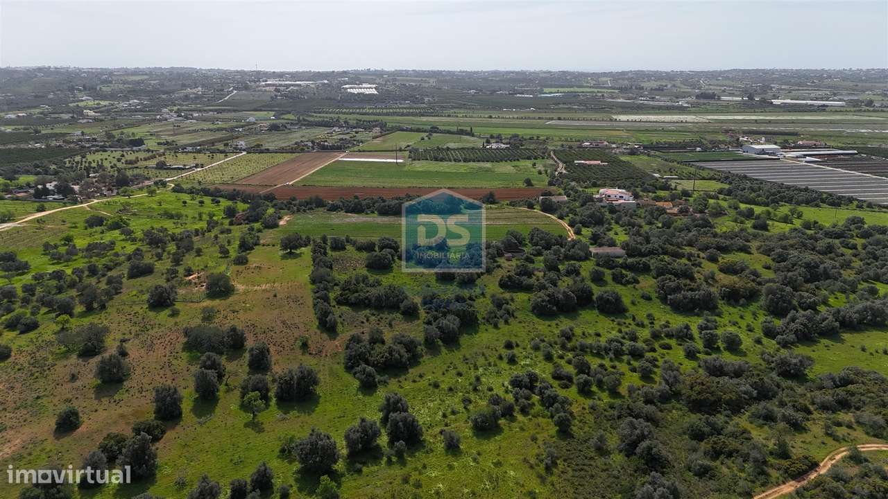 Terreno Misto  Venda em Lagoa e Carvoeiro,Lagoa (Algarve) - Grande imagem: 4/14