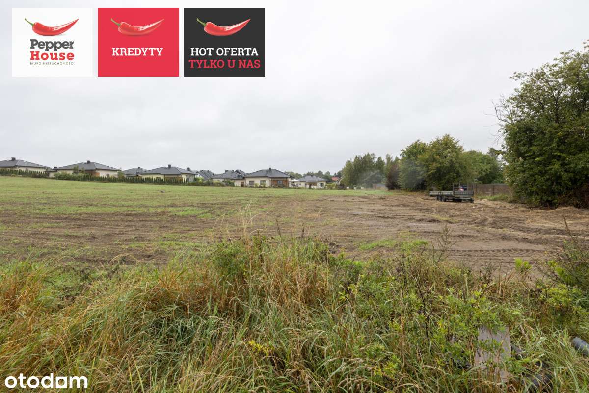 ph231038 - Pełny obrazek: 3/8