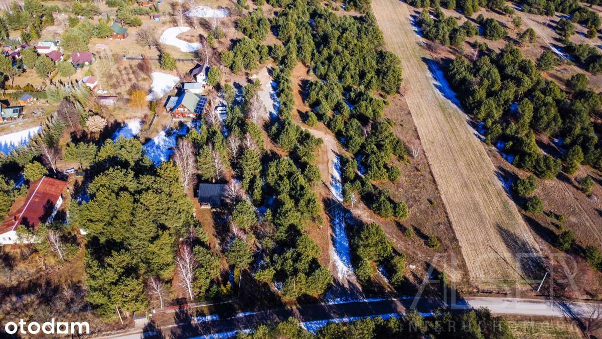 2 Działki w bliskiej odległości rzeki Narew - Pełny obrazek: 3/15