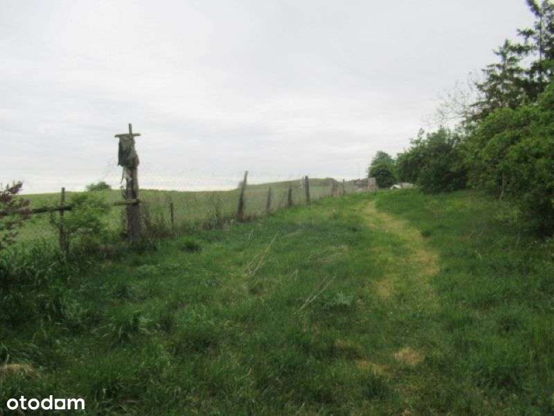 Budynek użytkowy z działką o pow. 1353 m2-7