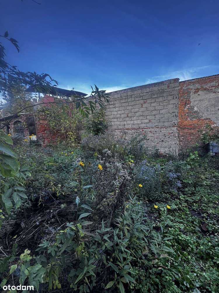 Na sprzedaż Kamienica w Świeciu!-14