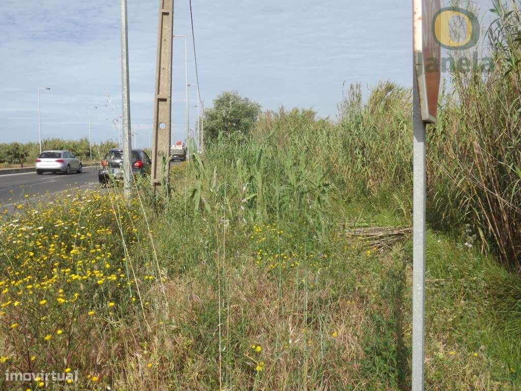 Terreno com 5160 m2 entre Faro e Olhao, perto da 125 - Grande imagem: 5/5
