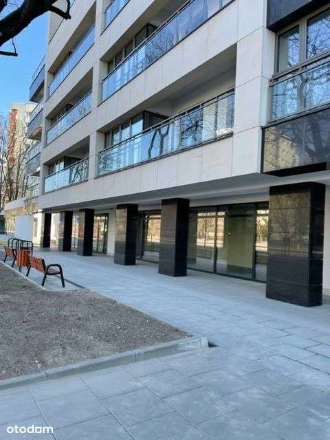 Aleja Solidarności. Lokal Inwestycyjny - Pełny obrazek: 4/11