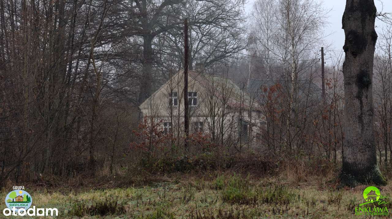 ENKLAWA prezentuje: STARE i KLIMATYCZNE siedlisko w lubuskim! Zobacz!-8