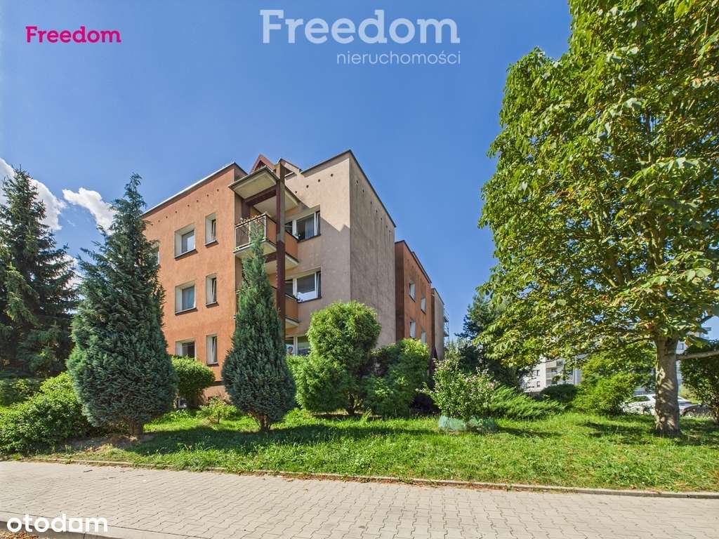 Duże 4 pokoje–balkon, piwnica, świetna lokalizacja - Pełny obrazek: 3/16