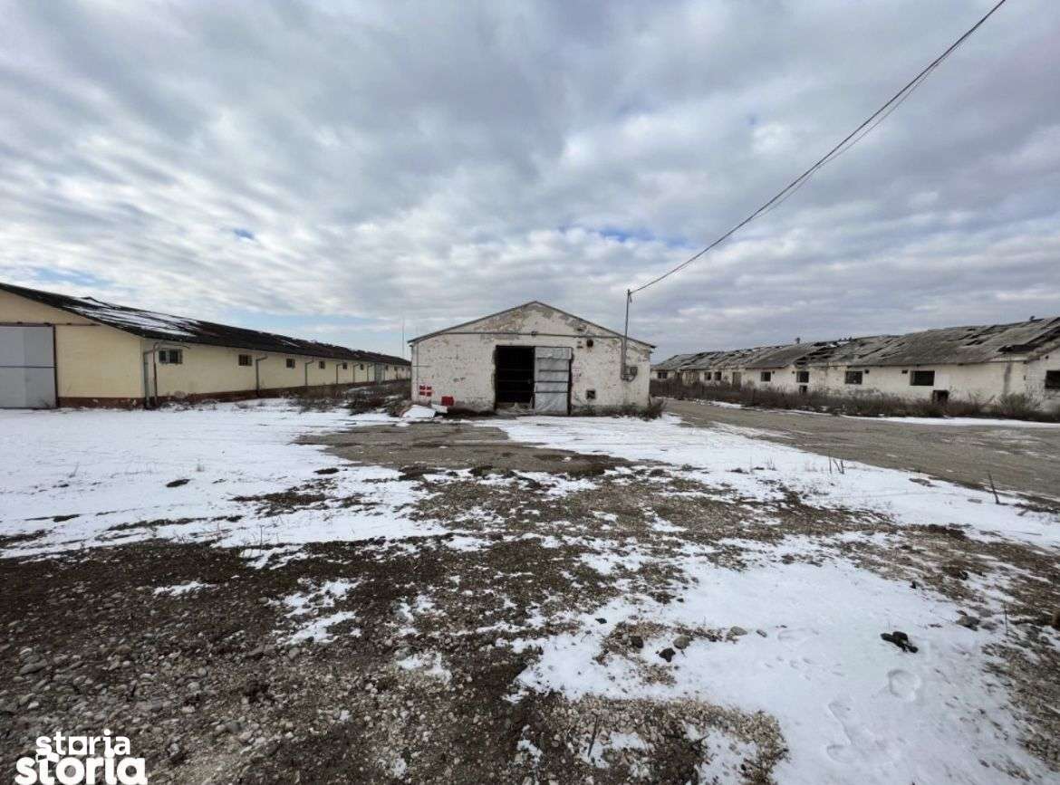 Teren intravilan/industrial cu hale si utilitati, DN 13 - Imagine principală: 3/5