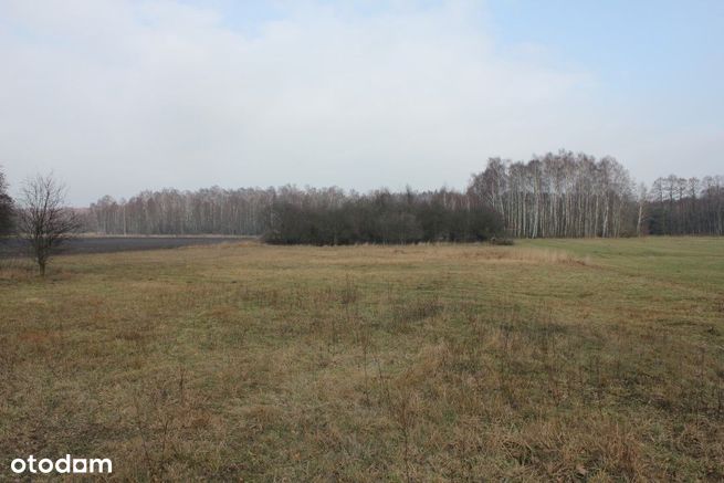 Działka budowlana 7000m2 Aleksandrów Łódzki