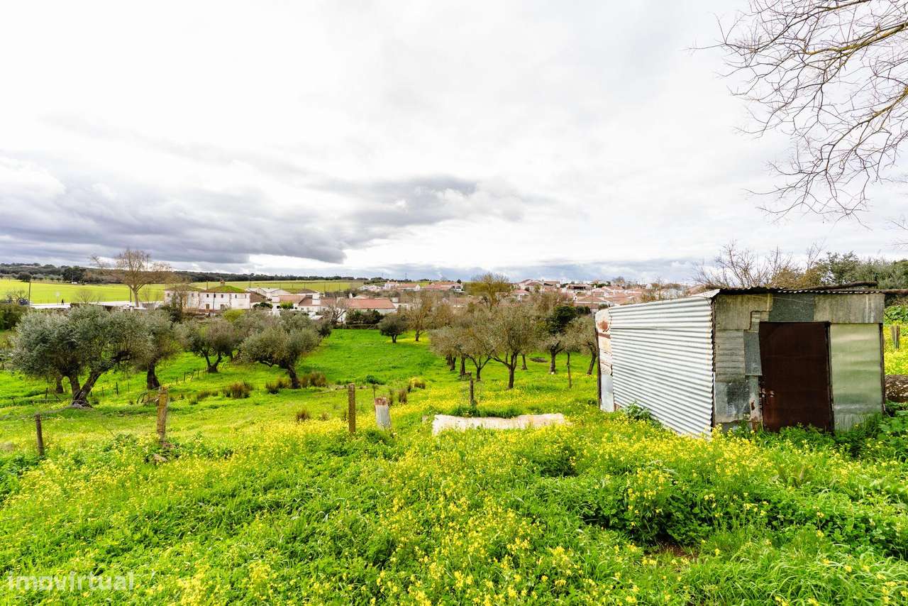 Moradia para recuperação com 6 divisões e terreno rústico com 3654 m2 - Grande imagem: 5/21