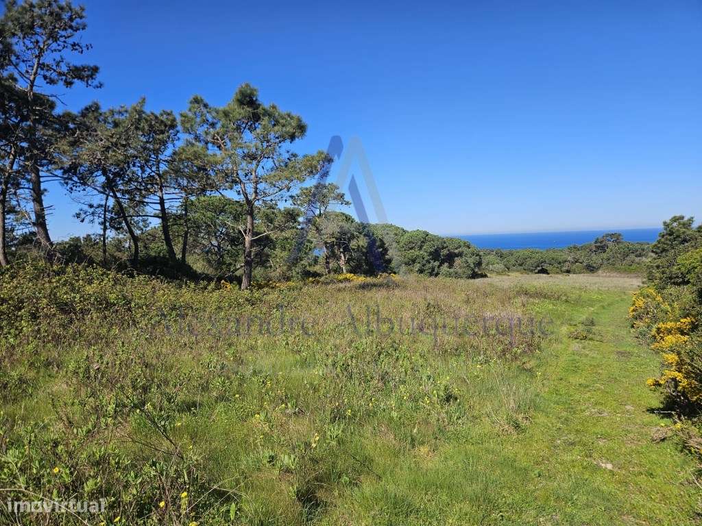 Terreno Misto Rústico e Urbano com Vista Mar - Natureza e Potencial... - Grande imagem: 4/11