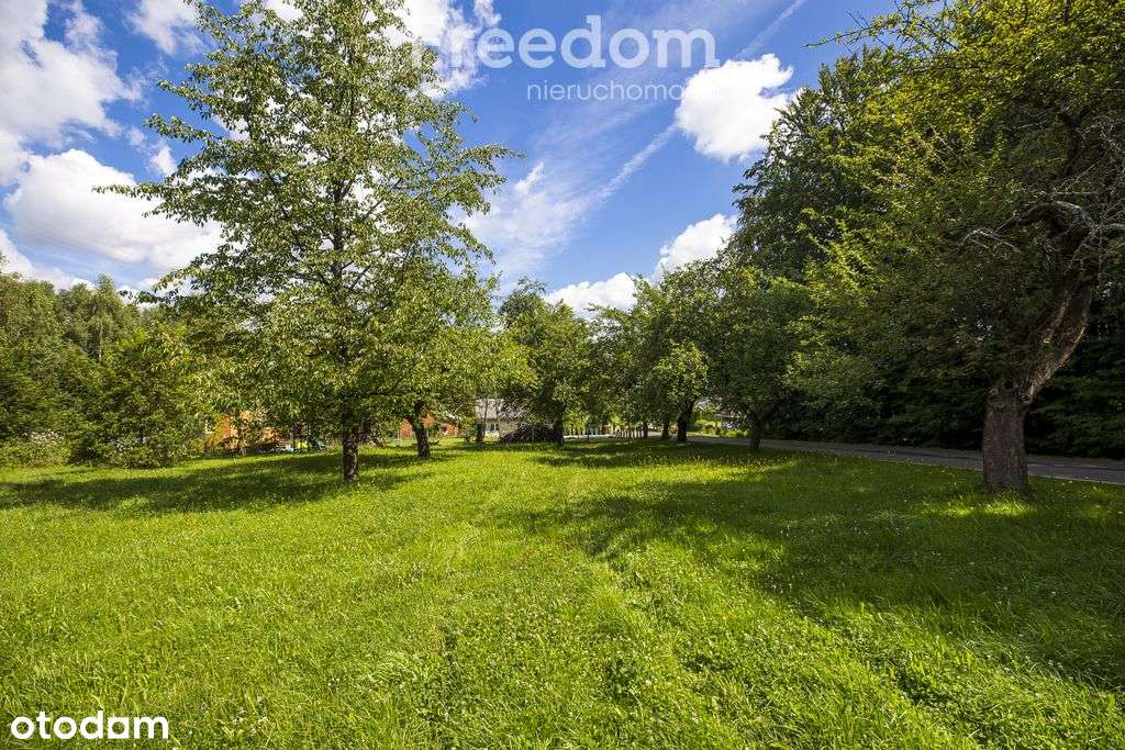 Działki budowlane wśród zieleni - Pełny obrazek: 5/9