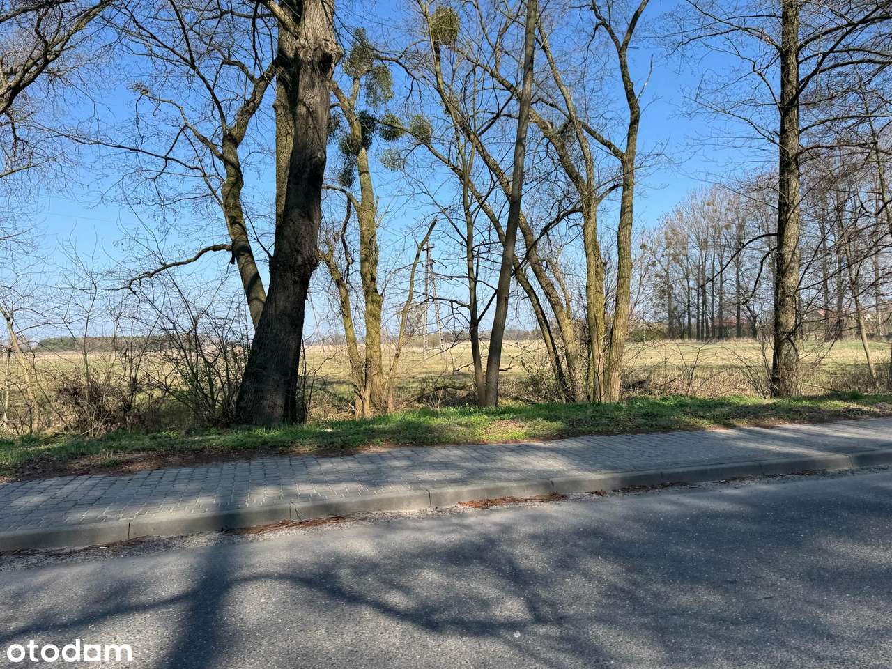 Działka bud-usł (MPZP) naprzeciwko Pałacu Radziwiłłów w Nieborowie - Pełny obrazek: 4/11