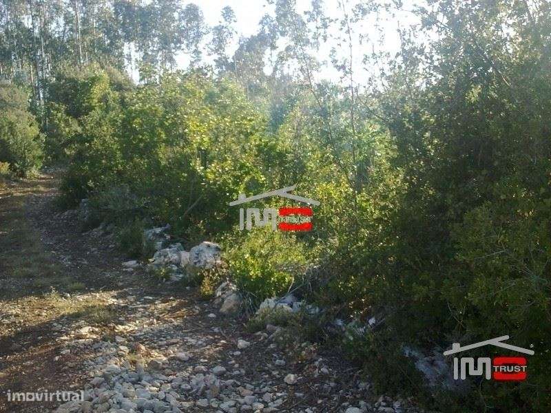 Terreno - Grande imagem: 2/8