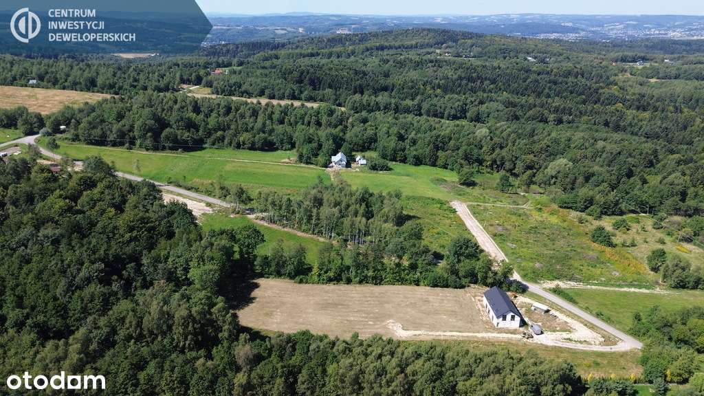 12/24 ary pod lasem z warunkami zabudowy - Pełny obrazek: 2/7