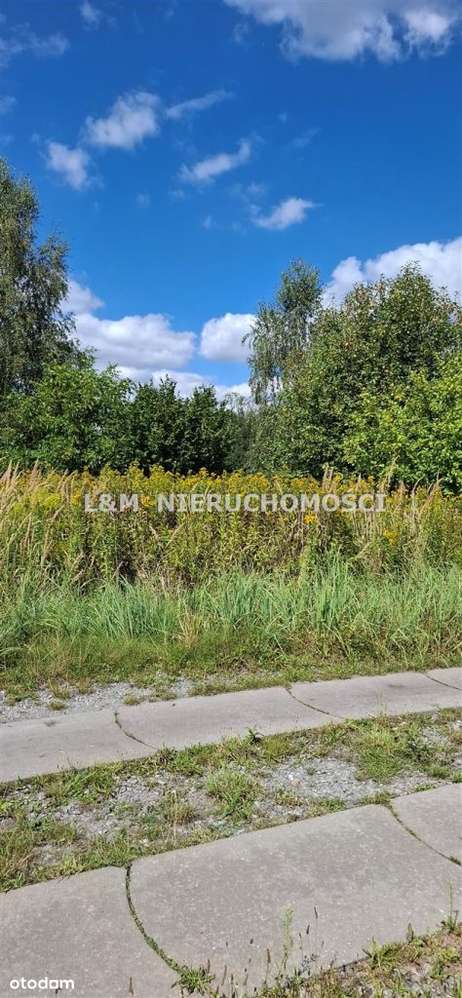 Działka Budowlana W Książenicach !! - Pełny obrazek: 5/6