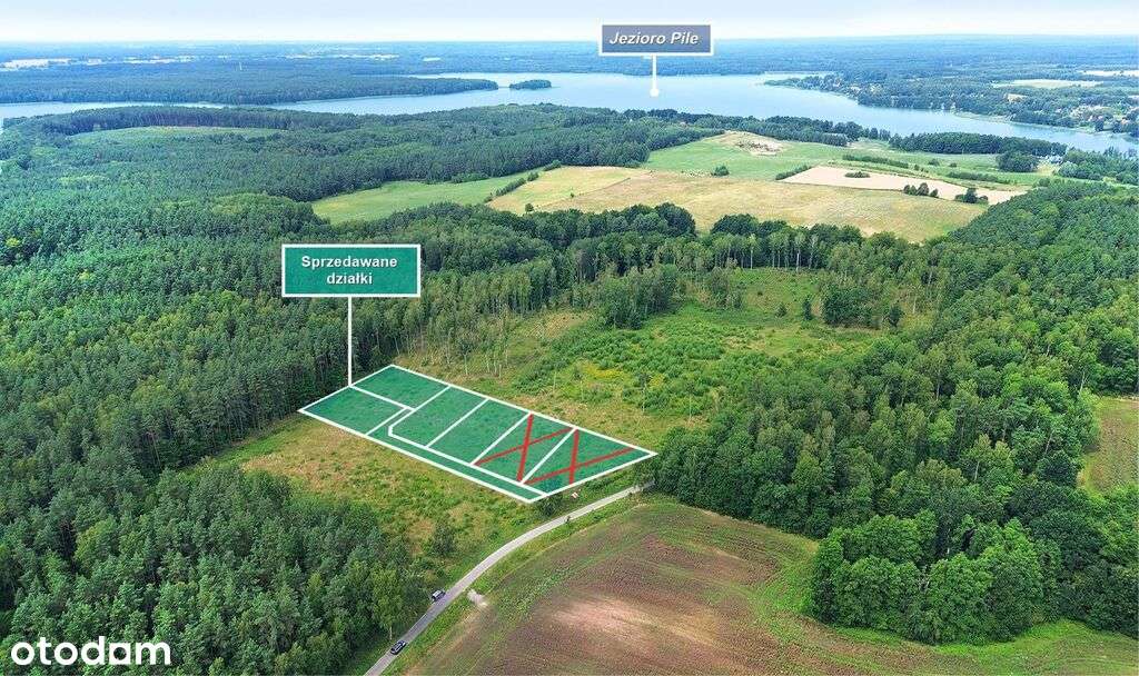 Duże działki pod budowę domu przy lesie. - Pełny obrazek: 4/20