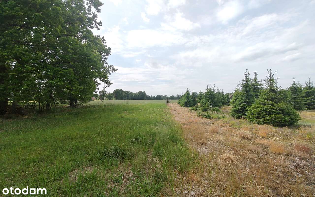 Duża atrakcyjna działka z WZ. - Pełny obrazek: 4/11