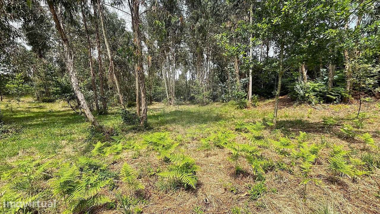 Terreno  para venda - Grande imagem: 2/6