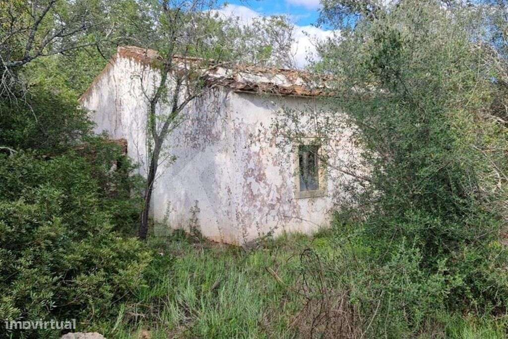 Terreno Rustico Com ruina, localizado em malha URBANA, sitio em Corcit - Grande imagem: 5/16