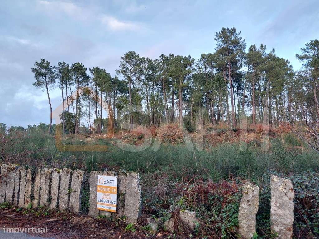 Terreno com 3830m2, possibilidade de dividir para construção de 2 m... - Grande imagem: 5/10