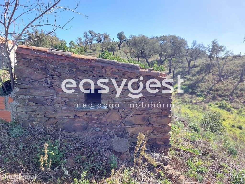 Monte para recuperar no concelho de São Martinho das Amoreiras - Grande imagem: 4/15