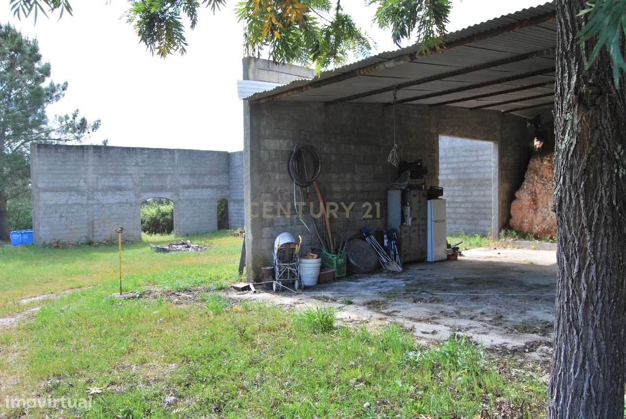 Terreno rústico 28200m2 em Vale do Junco, Chamusca, Golegã-18