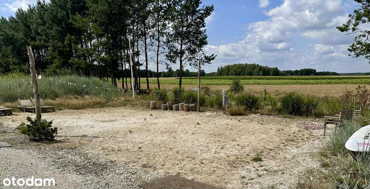 Nowoczesna oaza przy lesie z basenem i ekologiczną ziemią-8