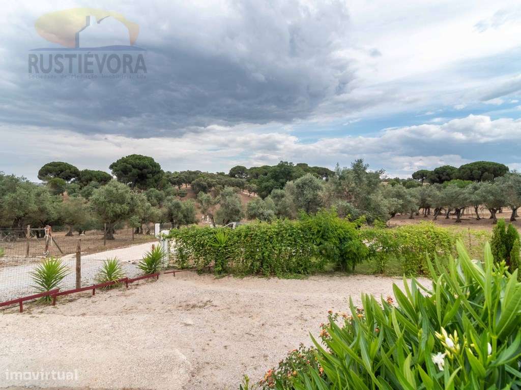 Quinta com 16 ha, com 4 Moradias Unifamiliares, piscina e várias ár...-44
