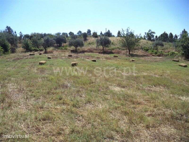 Quinta / Fundão, Pêro Viseu - Grande imagem: 5/7