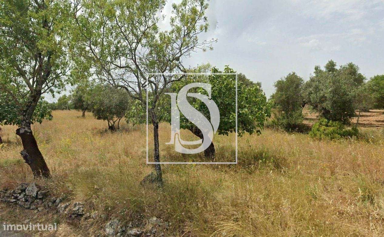 Terreno Rústico Urbanizável em Outeiro Grande, Torres Novas - Grande imagem: 4/4