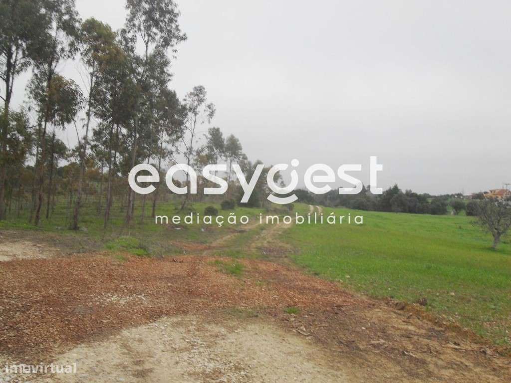 Terreno rústico com 9480M2 em Bairro D. Constança, Tremês. - Grande imagem: 5/11