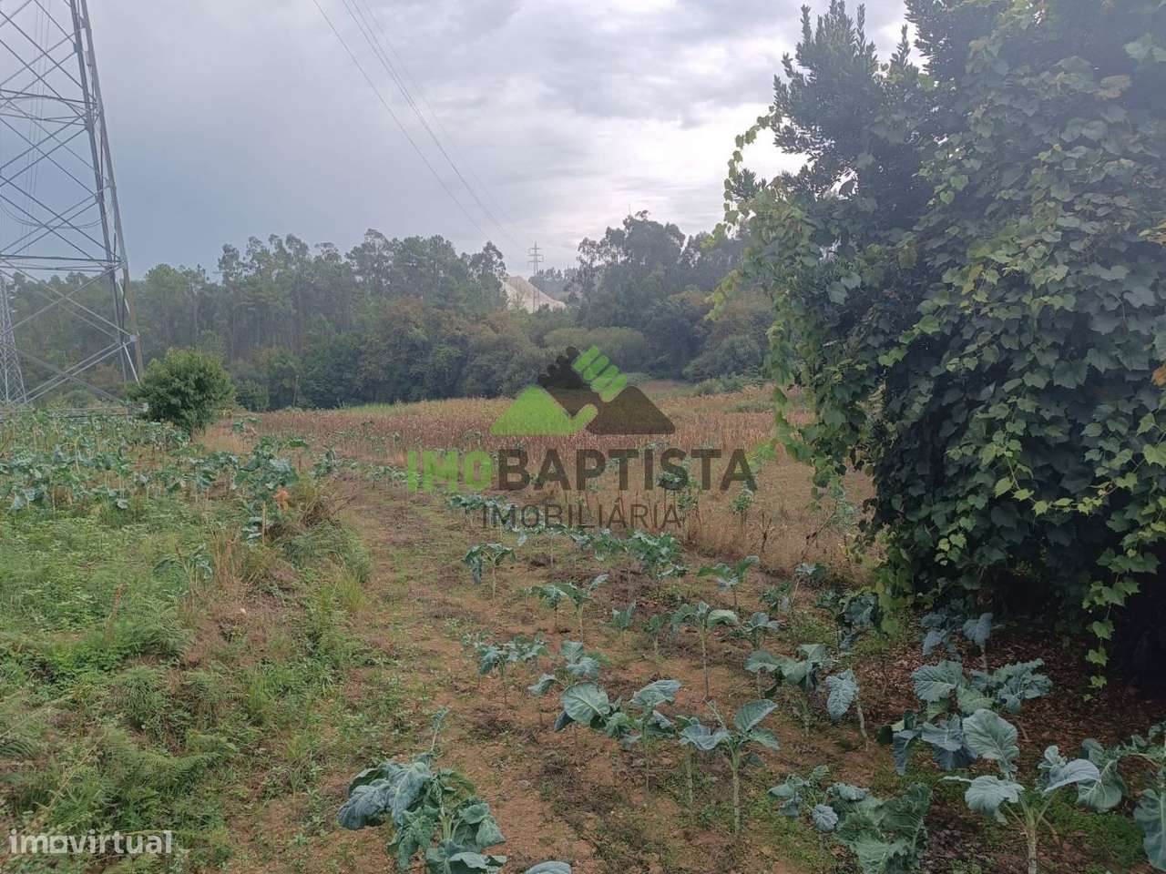 Terreno p/ construção nas Caldas de São Jorge (2200 m2) - Grande imagem: 5/9