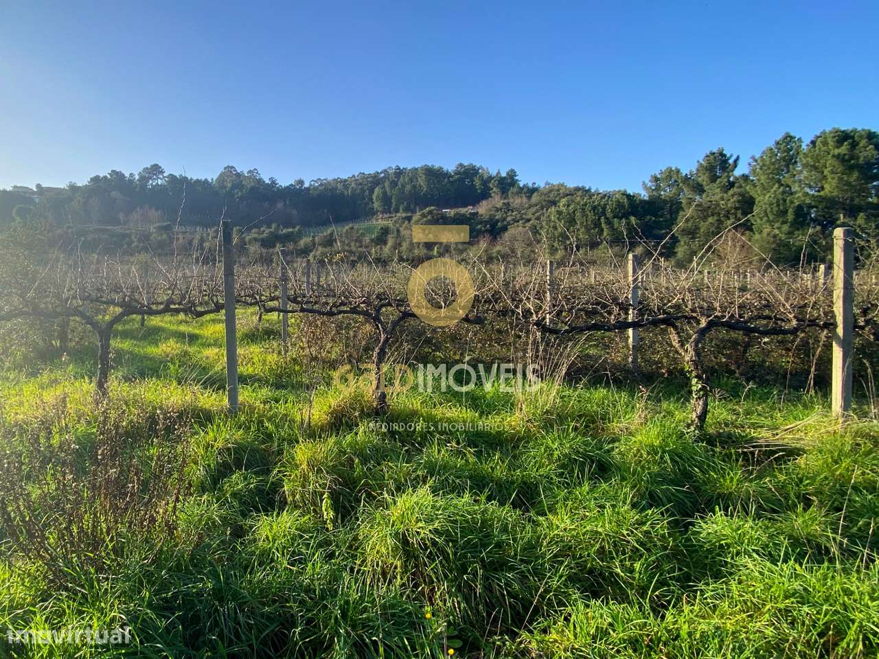 Terreno Rústico - Grande imagem: 4/10