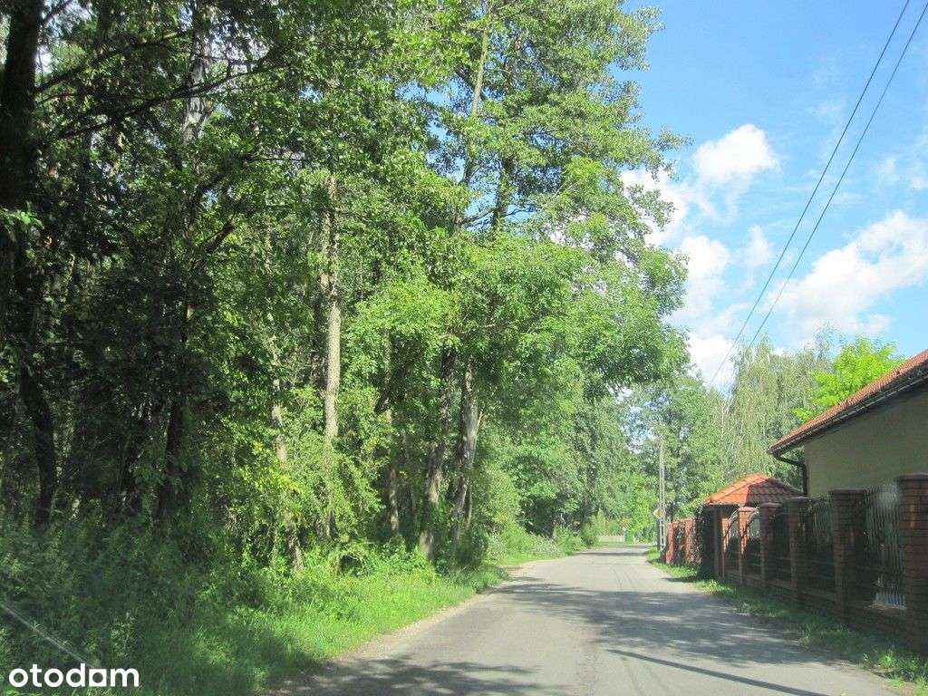 Klaudyn-działka budowlana blisko lasu.-5