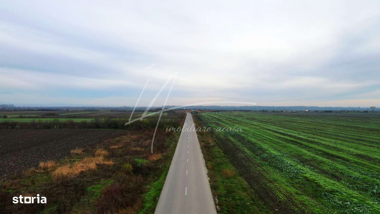 Teren intravilan curti-constructii, industrial, Autostrada A1 - km 62-15