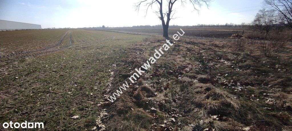 ⭐⭐⭐⭐⭐ Błonie 9030m2 | Mpzp-15Mu | Media ⭐⭐⭐⭐⭐-7