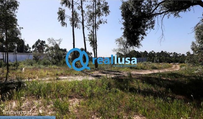 Terreno Urbano em Rio Meão - Sta Maria da Feira-1