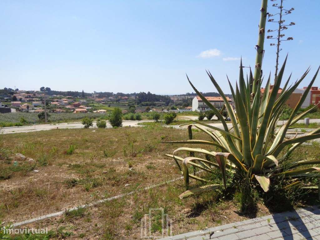 Lote Prédio - São João de Ver - Grande imagem: 1/3