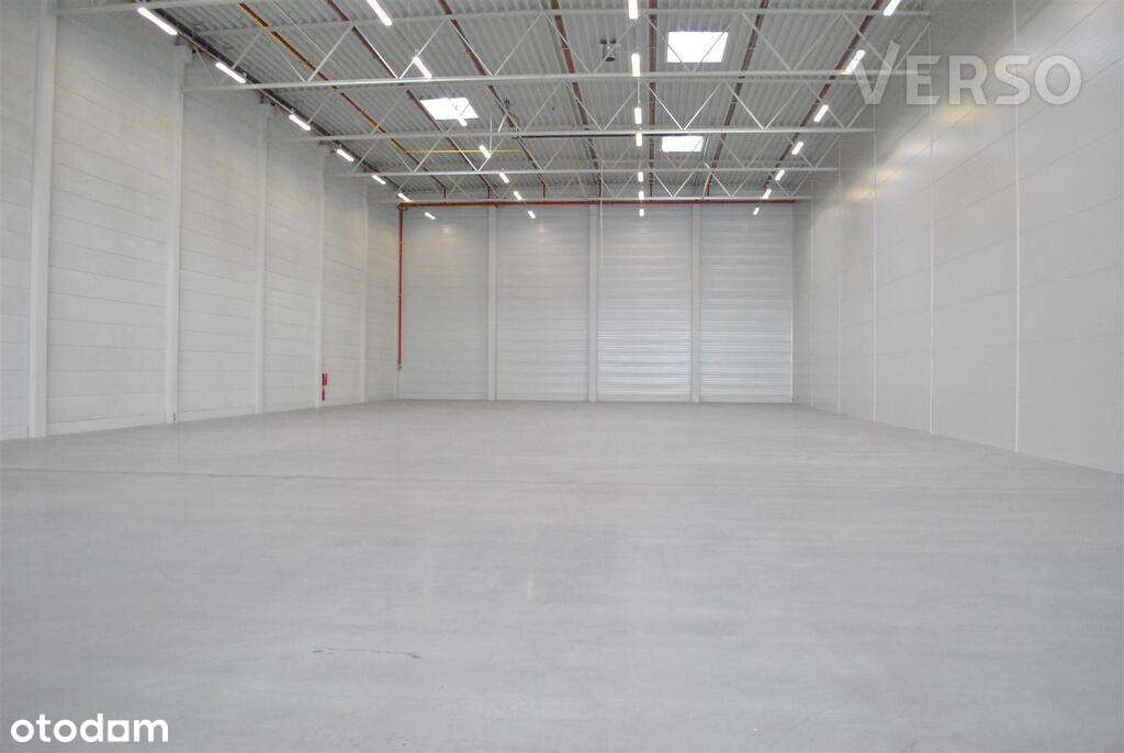 Magazyn 3240 mkw. Biuro dowolnej wielkości - Pełny obrazek: 4/9
