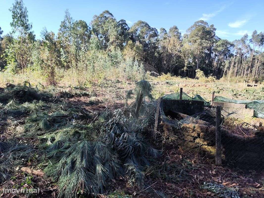 Terreno  para venda - Grande imagem: 4/4