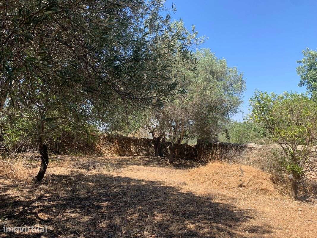 Moradia T2 para venda - Grande imagem: 4/14