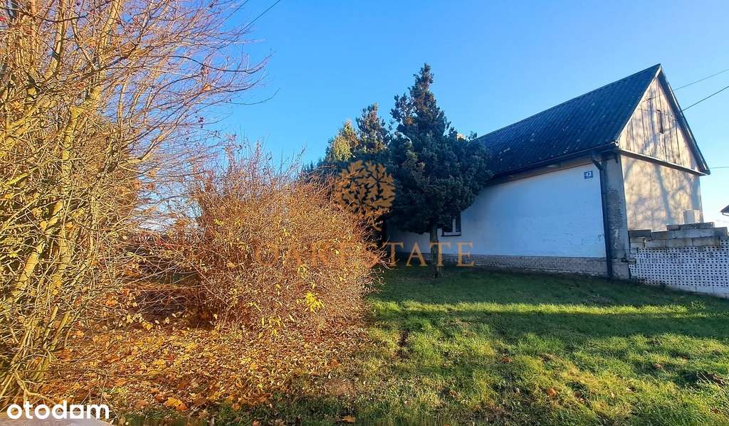 Dom siedlisko 6900m2 Hale magazynowe Agroturystyka - Pełny obrazek: 4/20