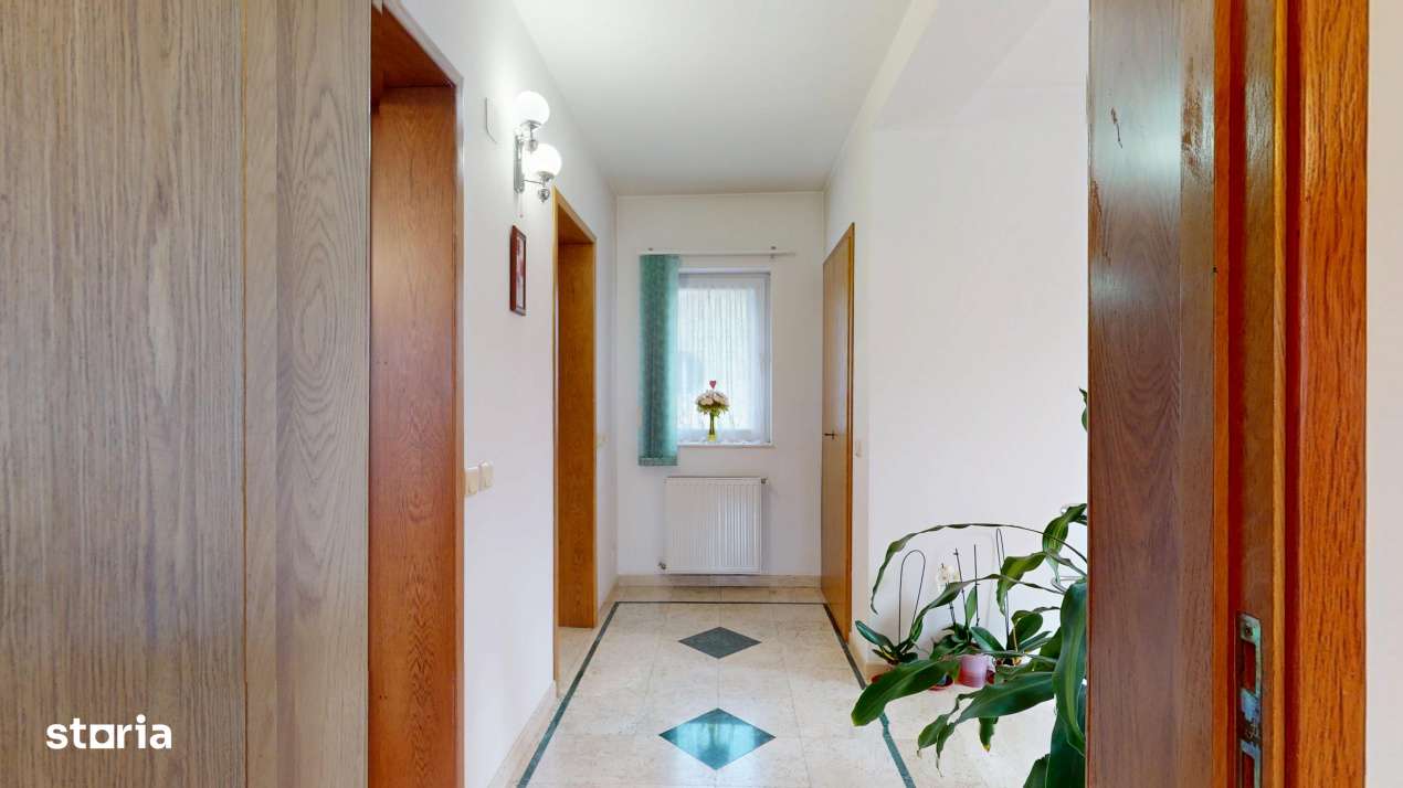 Vila unde diminetile incep cu liniste, nu cu trafic – Iancu Nicolae-13