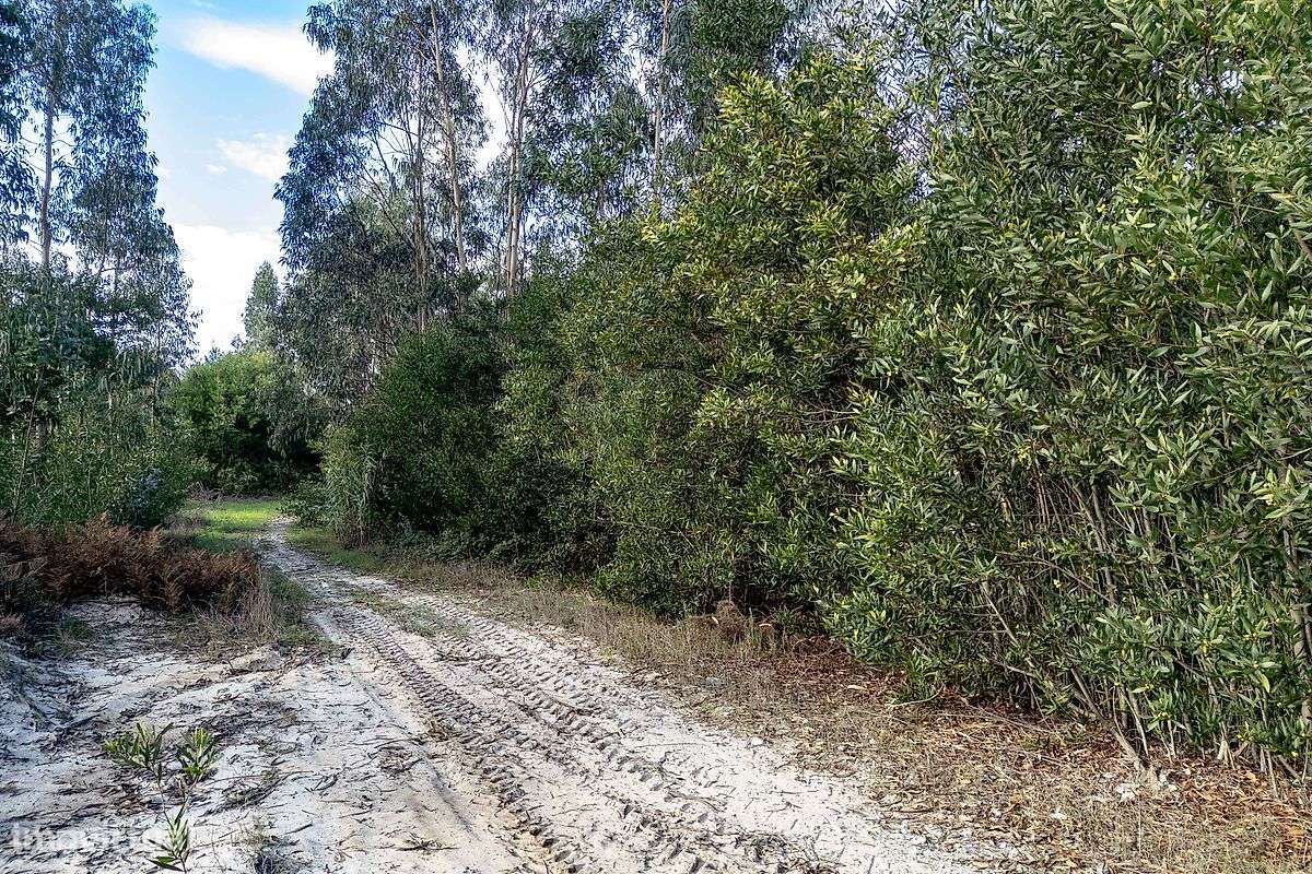 Terreno  para venda - Grande imagem: 5/5