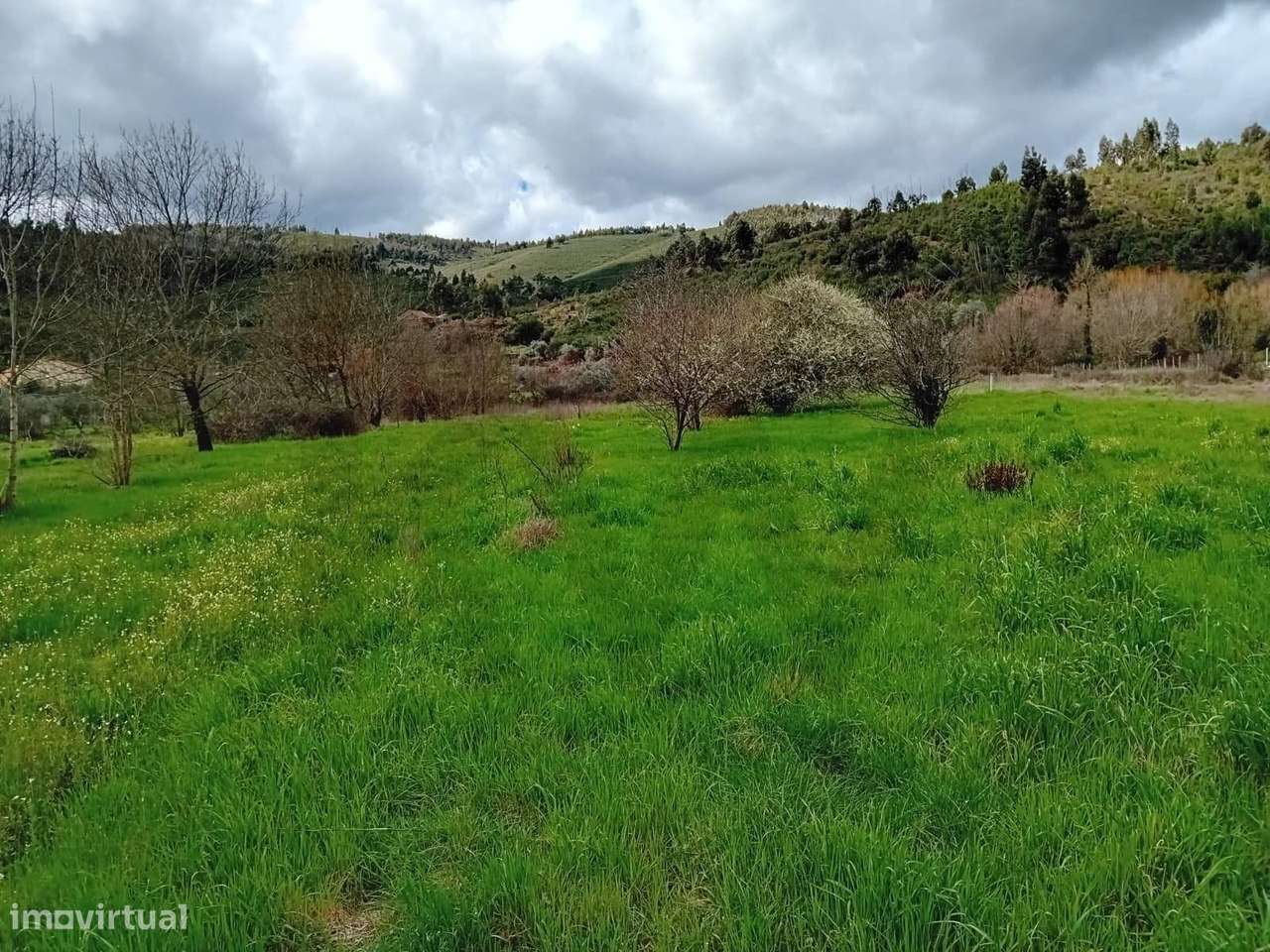 Lote de Tereno rústico 2500€ - Grande imagem: 4/35