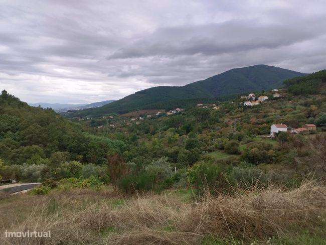 Moradia para recuperar - Grande imagem: 4/20