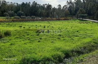 Terreno com comunicação de viabilidade urbanística - Grande imagem: 4/10