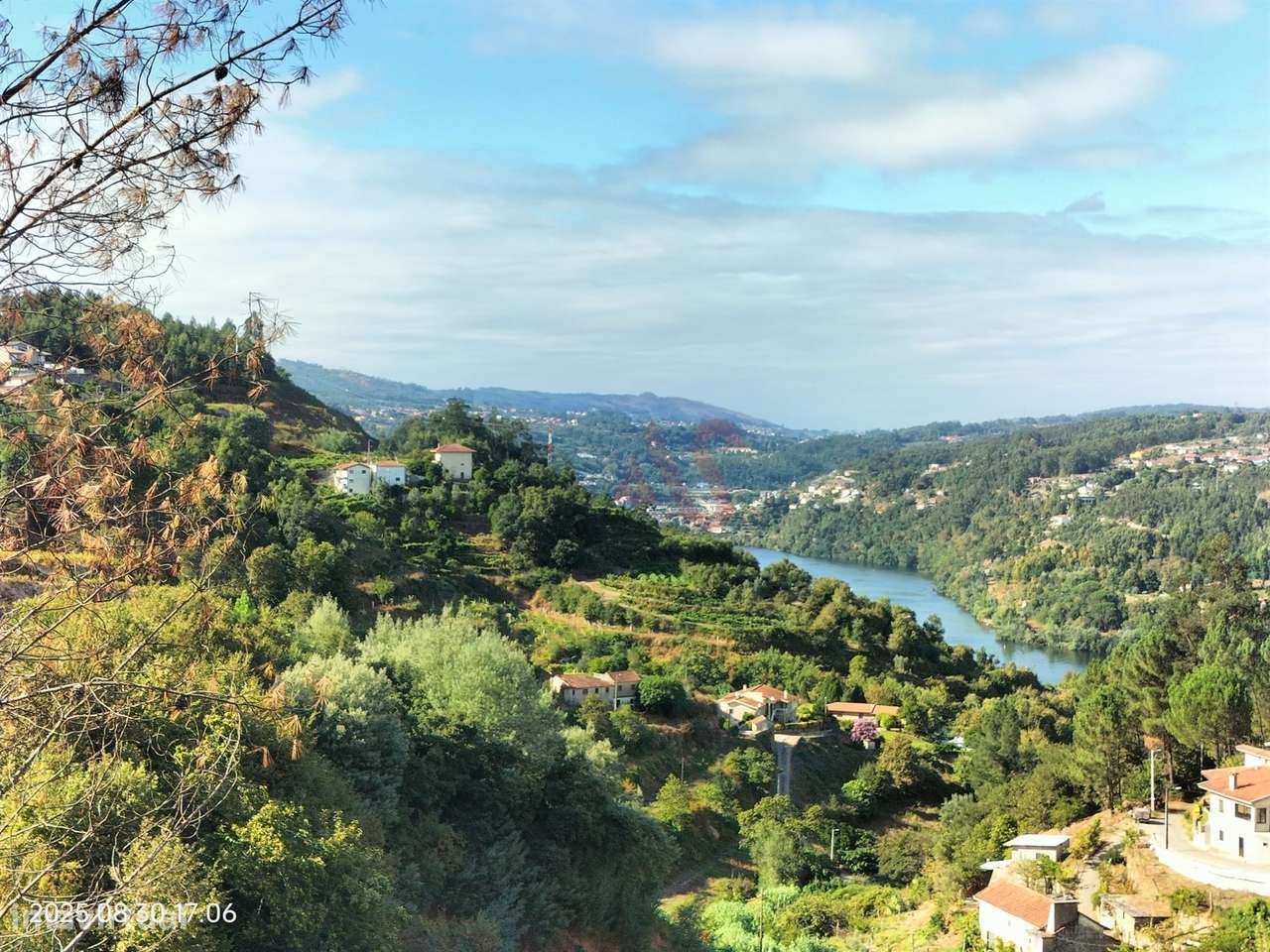 Terreno Rústico com 18.384 m2 em São Martinho de Sardoura – Castelo de - Grande imagem: 4/10