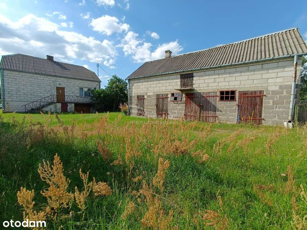 Siedlisko w malowniczym Kodniu, powiat bialski - Pełny obrazek: 5/12