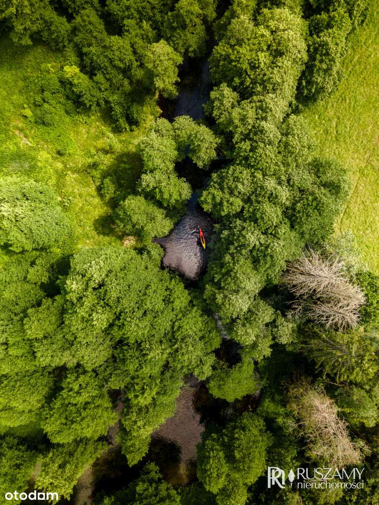 Bory Tucholskie - działki objęte Mpzp-5